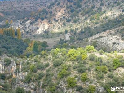 Alcarria_Barranco Reato_La Tajera; castillo de cuéllar cueva de montesinos el chorro navafria carnav